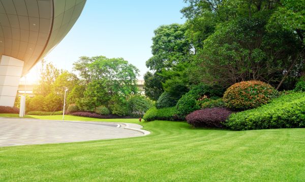 Cost of Commercial Lawn Mowing in Sterling