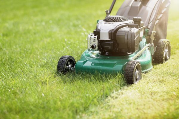Cost of Yard Cutting in Sterling
