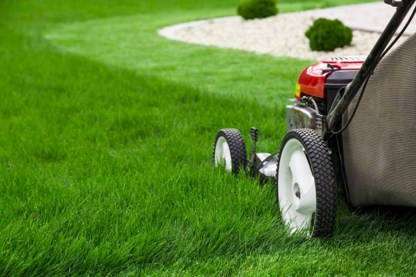Yard Maintenance in Sterling