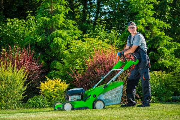 Cost of Yard Work Service in Sterling