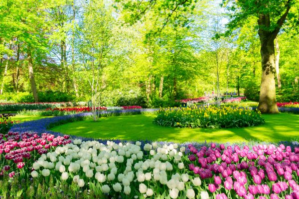 Spring Lawn Care in Sterling