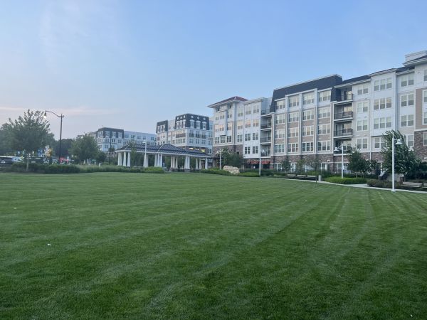 Cost of Urban Lawn Care in Sterling