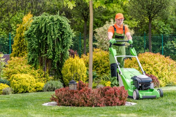 Cost of Commercial Yard Maintenance in Sterling