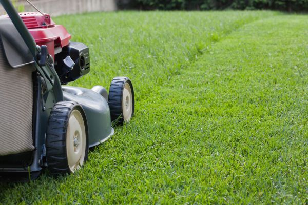 Cost of Summer Lawn Care in Sterling
