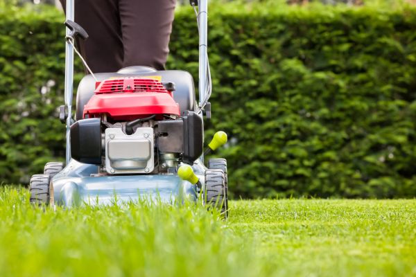 Grass Trimming Service in Sterling