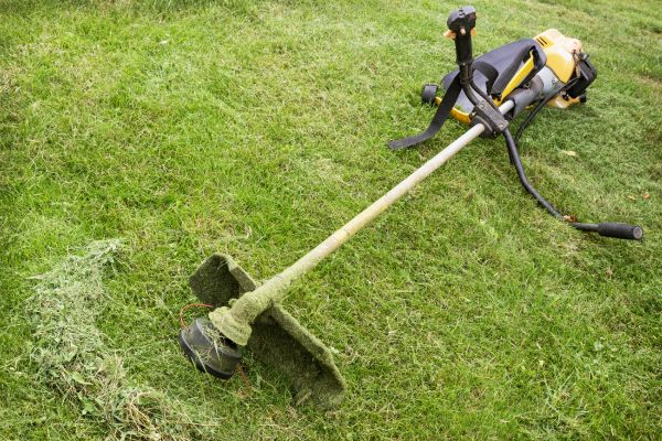 Hillside Weed Whacking in Sterling
