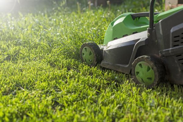 Cost of Yard Trimming in Sterling