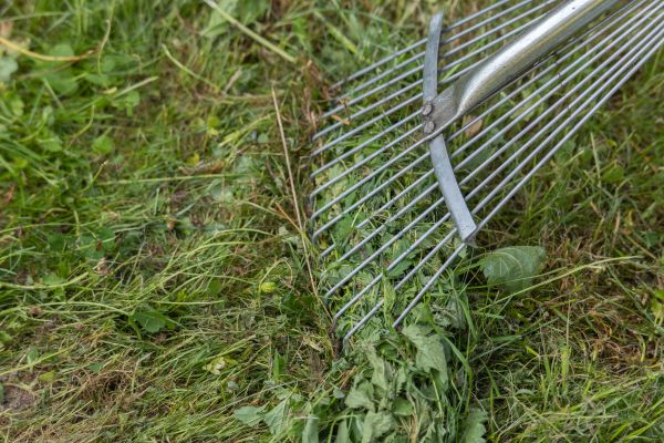 Thatch Raking in Sterling