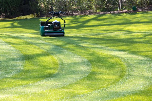 Cost of Business Lawn Mowing in Sterling