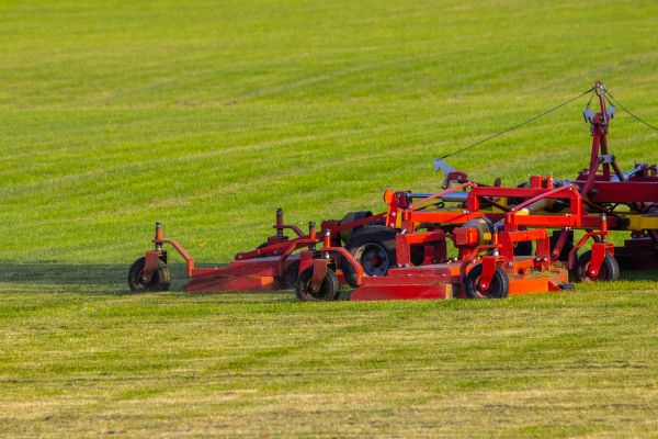 Cost of Industrial Lawn Service in Sterling