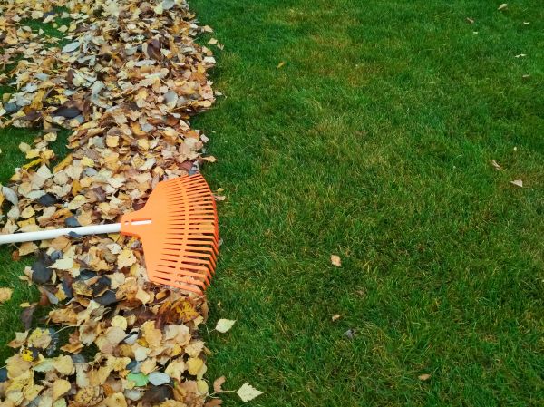 Cost of Fall Lawn Care in Sterling