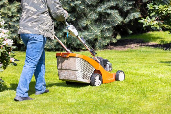 Springtime Lawn Care in Sterling