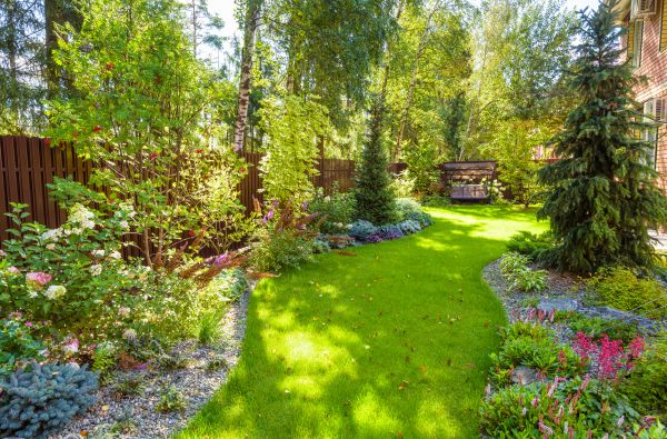 Spring Yard Maintenance in Sterling