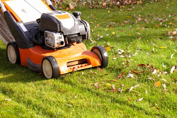 Cost of Fall Mowing in Sterling