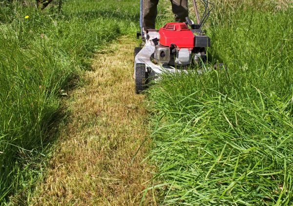Cost of Leaf Mowing in Sterling