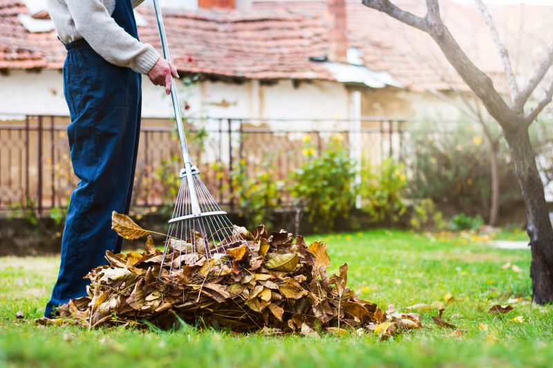Yard Maintenance in Fall