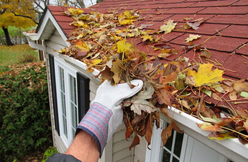 Leaf Buildup Prevention