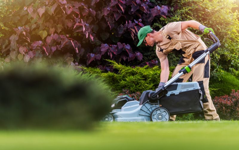 Business Lawn Maintenance detail